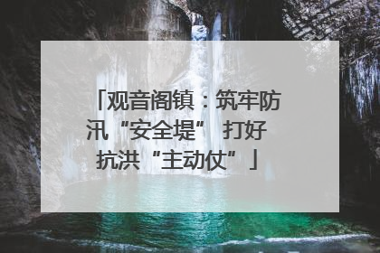 观音阁镇：筑牢防汛“安全堤” 打好抗洪“主动仗”